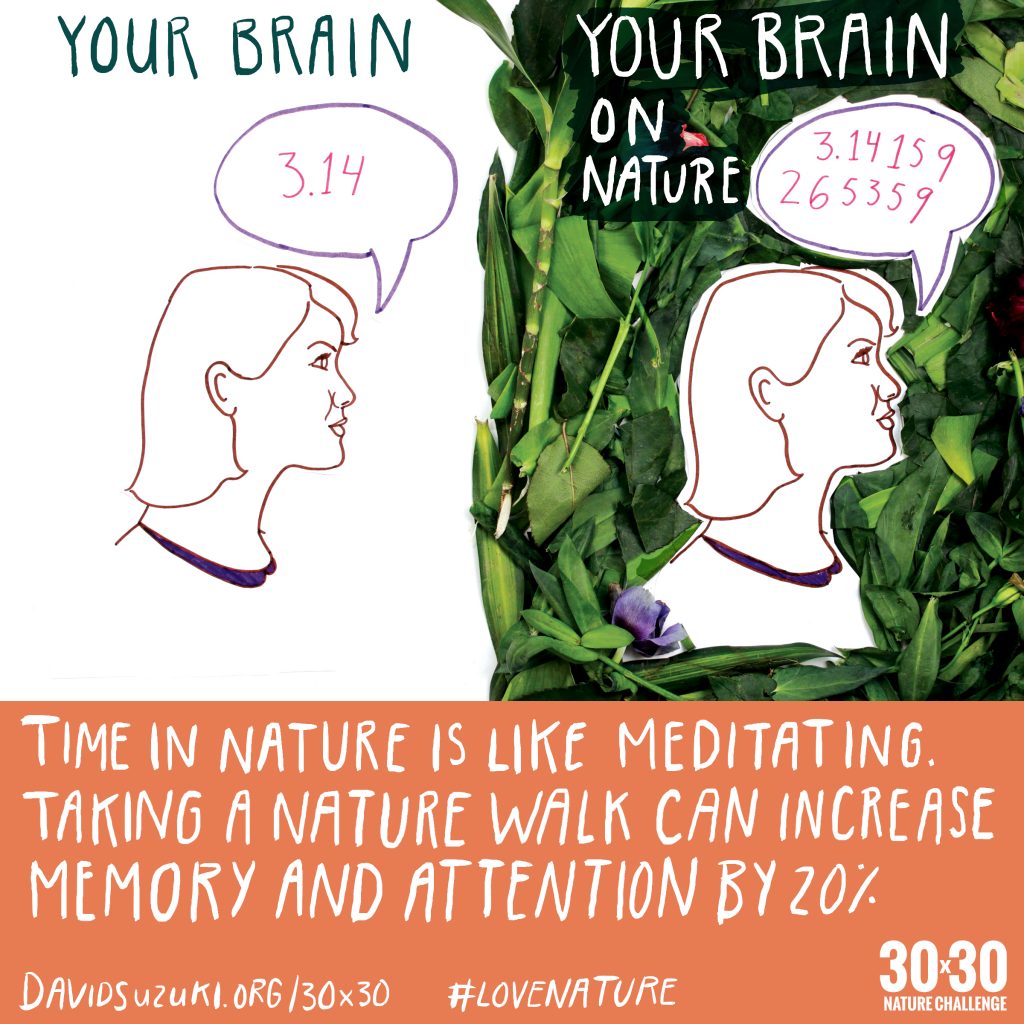 Your Brain on Nature